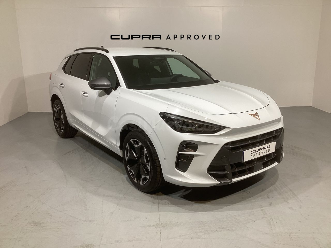 Cupra Terramar 1.5 PHEV 204 DSG 5P
