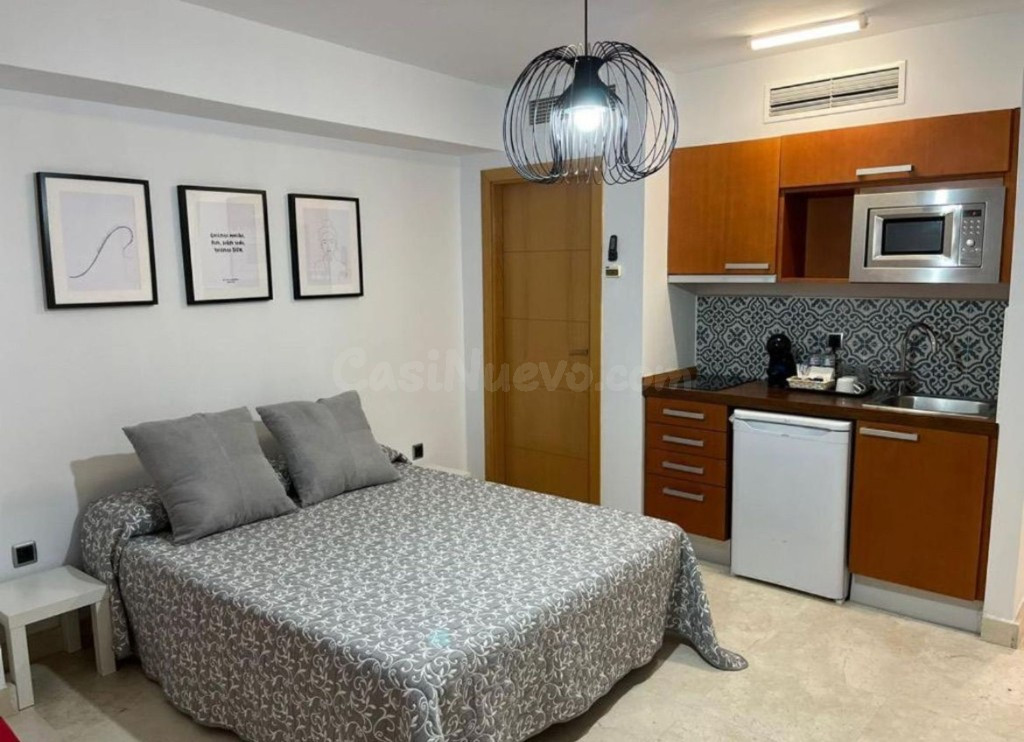 ¡ALTA RENTABILIDAD! LOFT CON LICENCIA TURÍSTICA EN EL PASEO  - foto 3