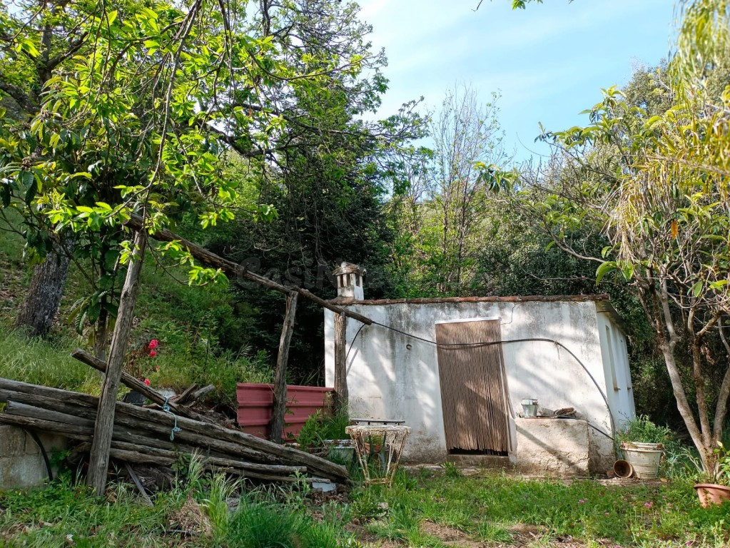 Exclusiva Finca Rústica con Castaños en el Pueblo Azul (Júzc