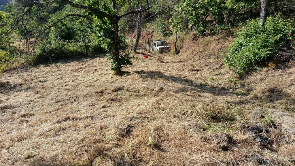Exclusiva Finca Rústica con Castaños en el Pueblo Azul (Júzc - foto 4