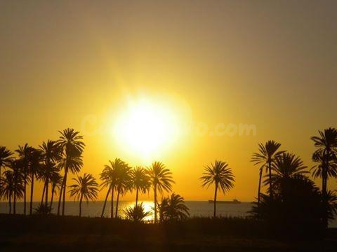 se vende un piso de 1 dormitorio en comunidad con parque y los cesped en Mar Azul de Torrevieja - foto 2