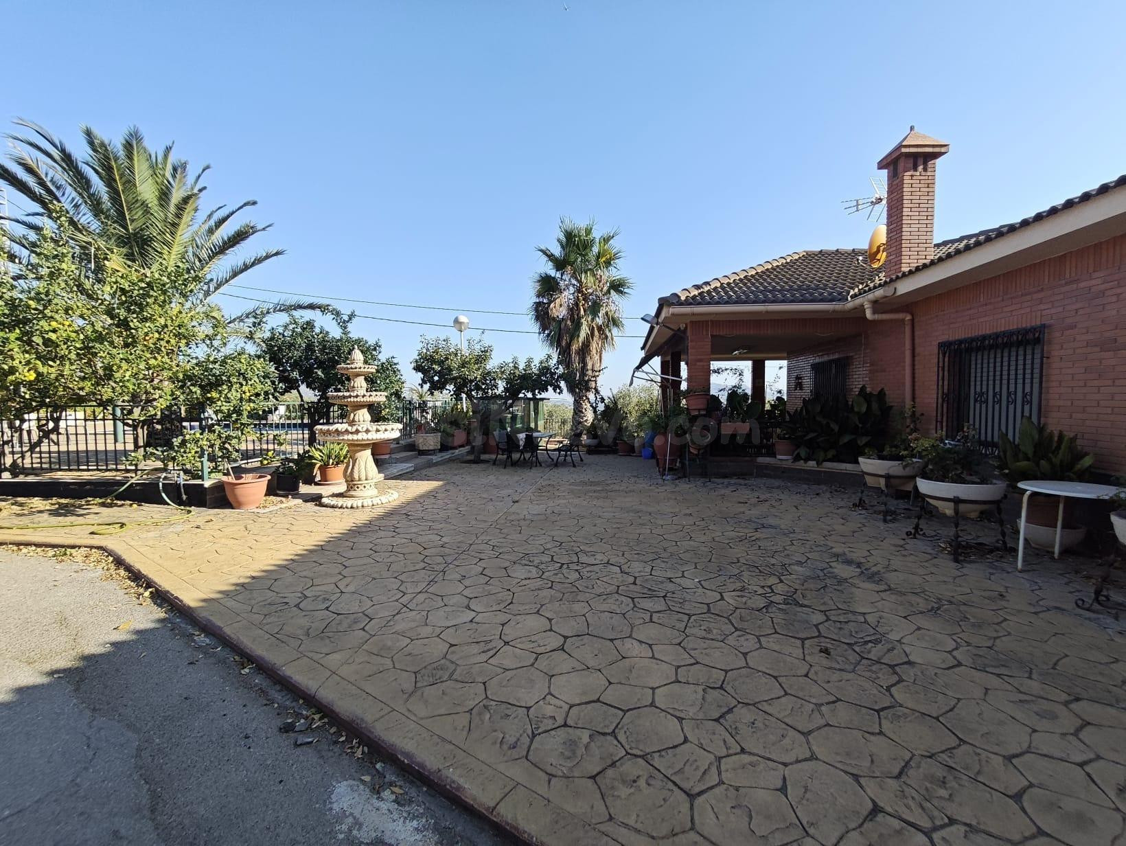 CAMPO EN SAX 14.000 M2 PARCELA Y CASA CON PISCINA - foto 5