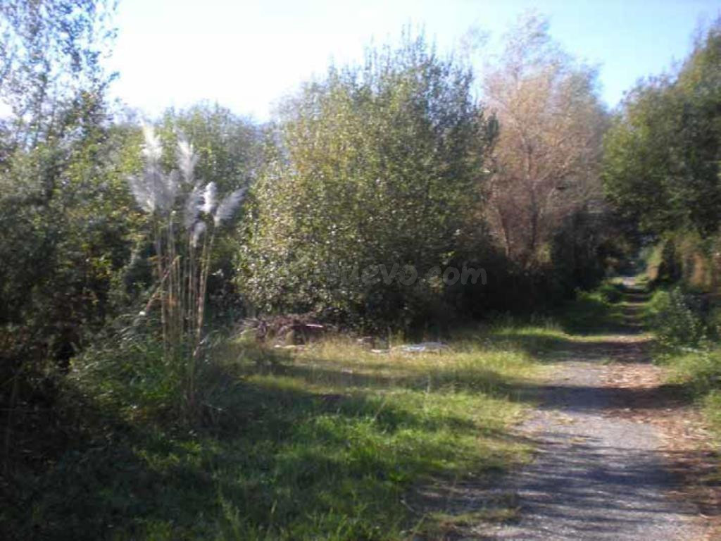 Suelo Rústico en venta, TOMBO, Sanxenxo, Pontevedra - foto 2