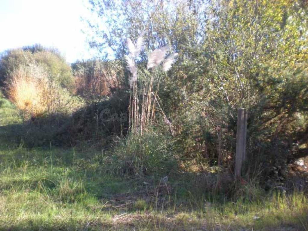 Suelo Rústico en venta, TOMBO, Sanxenxo, Pontevedra - foto 4