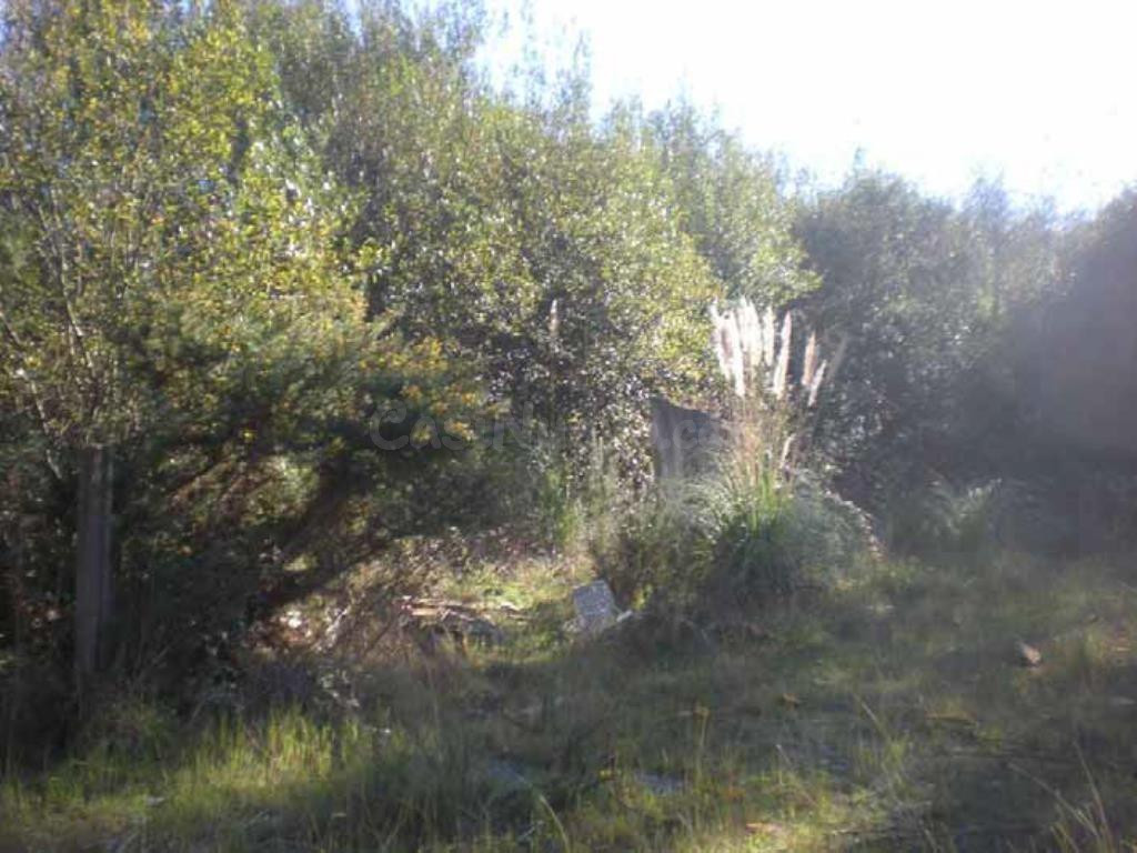 Suelo Rústico en venta, TOMBO, Sanxenxo, Pontevedra - foto 5