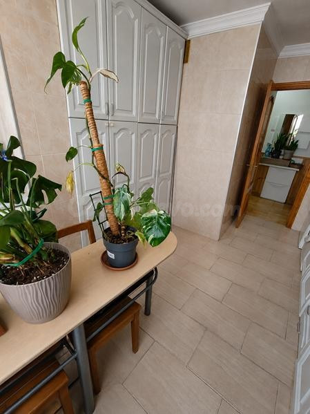 ¡VENTA DE TU NUEVO HOGAR EN EL CORAZÓN DE ESTEPONA! - foto 2