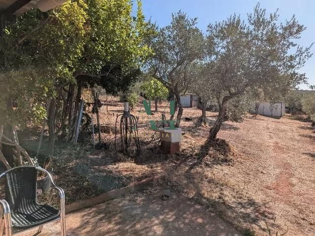 Impresionante Chalet en La Montaña, Cáceres - ¡Tu refugio id - foto 4