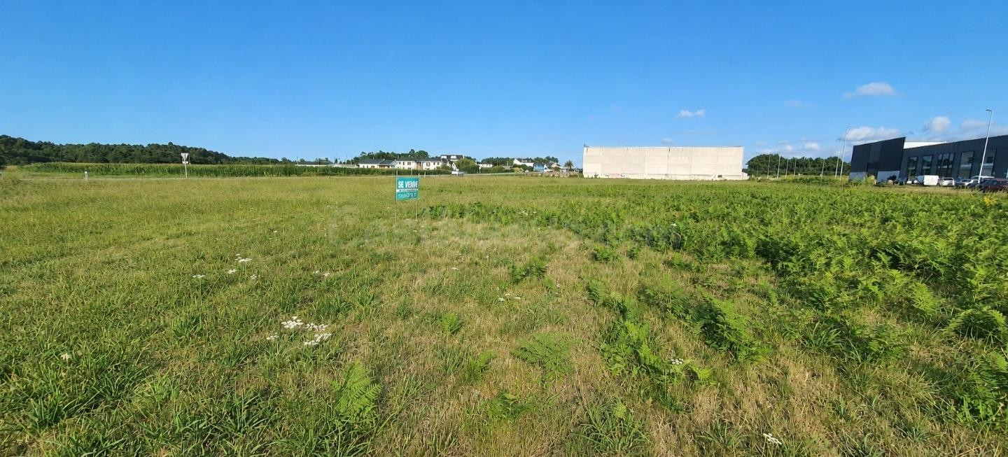 TRES PARCELAS EDIFICABLES EN VENTA EN EL CORTAFICIO – TAPIA DE CASARIEGO