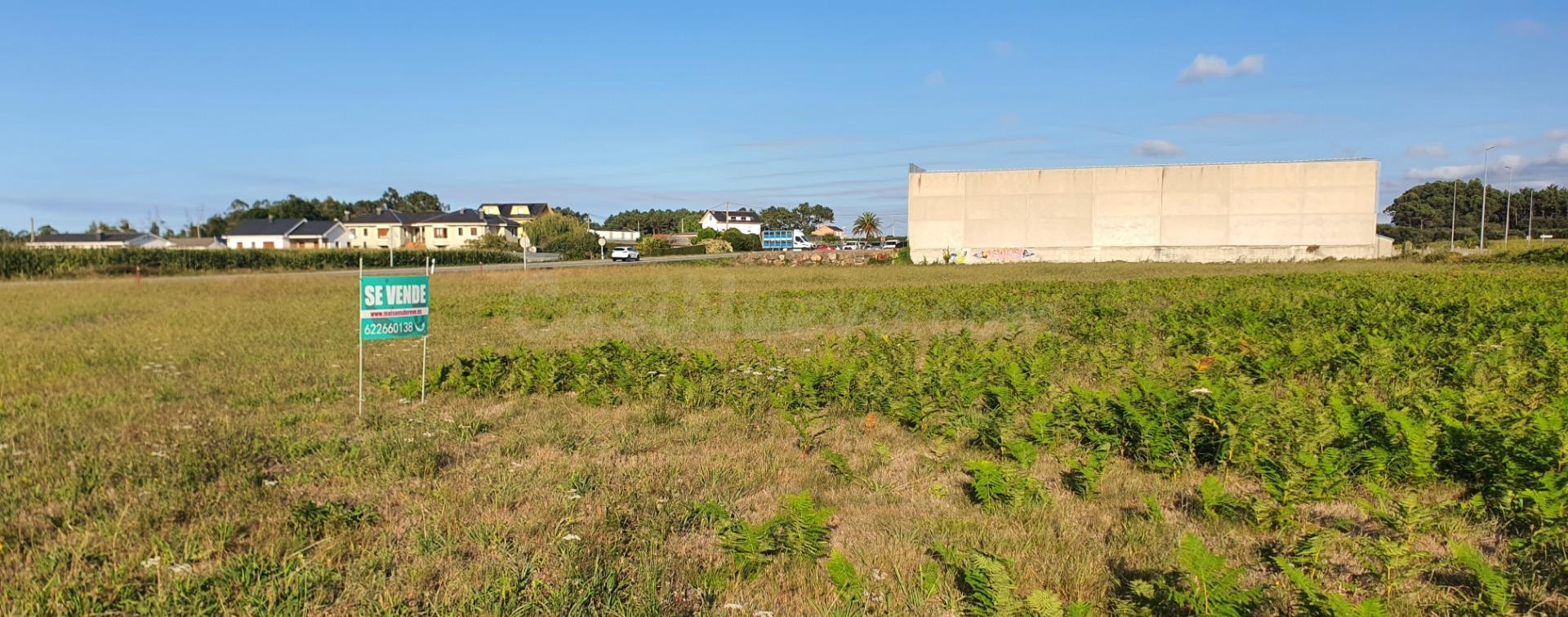 TRES PARCELAS EDIFICABLES EN VENTA EN EL CORTAFICIO – TAPIA  - foto 3