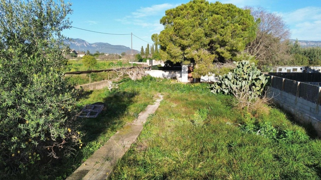 Son Sardina - Solar Urbano a la venta - Calle Rosa Canals -  - foto 3