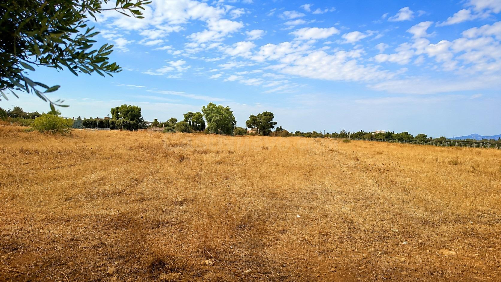 Terreno rústico de casi 20.000 m2 en Santa Maria del Camí