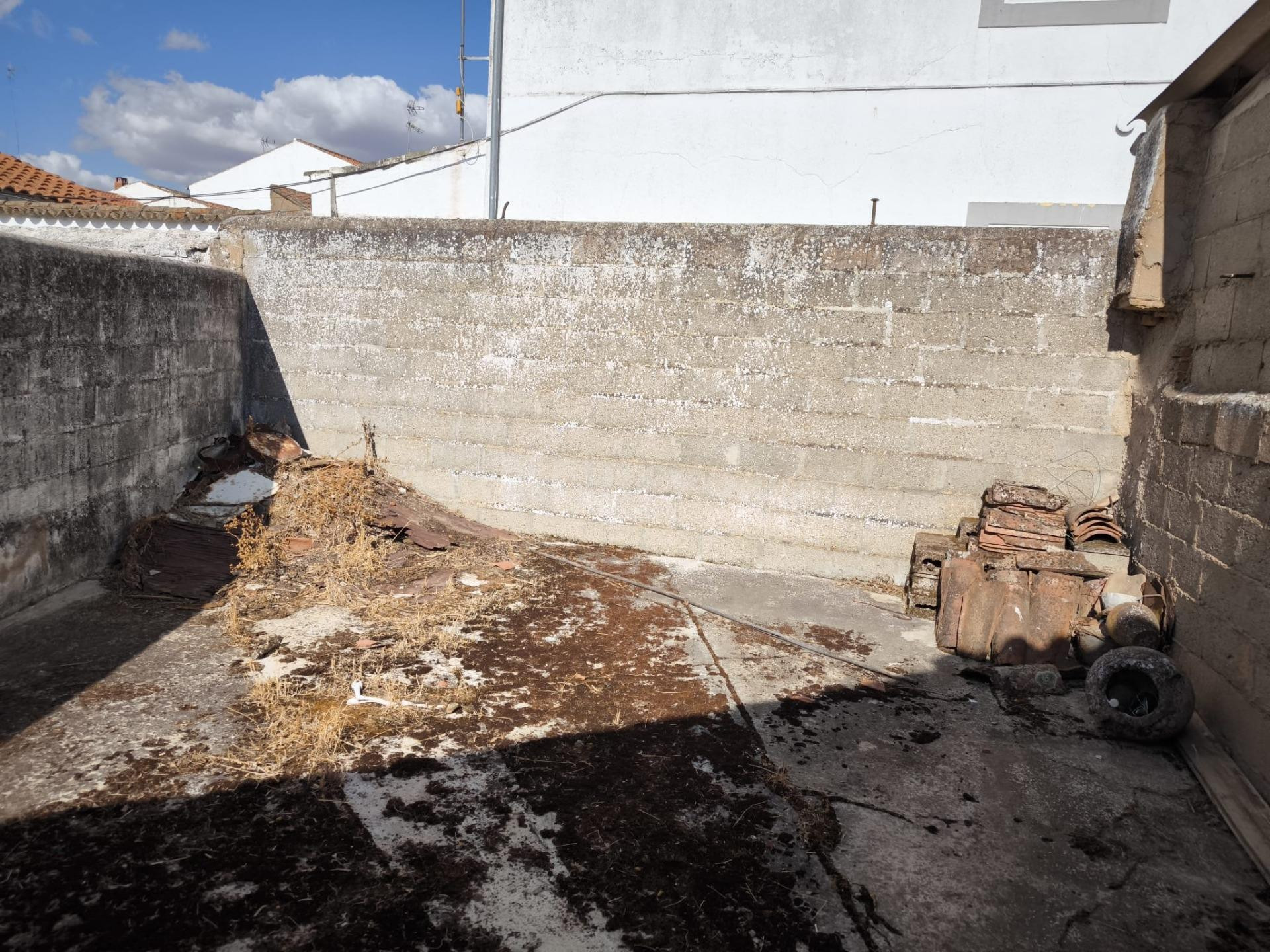 Dos Casas en Fuente Obejuna - foto 3