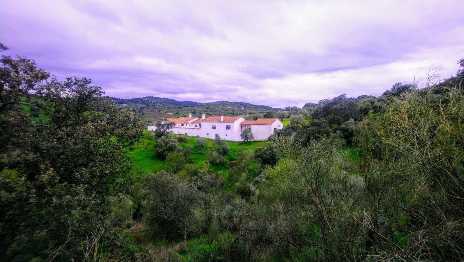 FINCA EN VIILLANUEVA DEL REY - foto 2