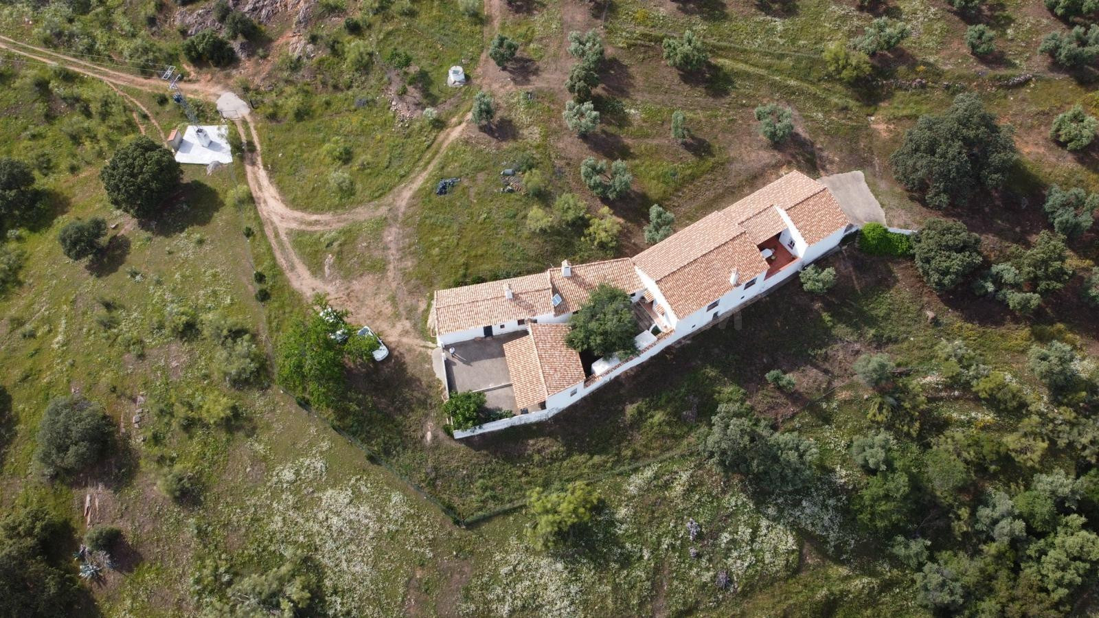FINCA EN VIILLANUEVA DEL REY - foto 4