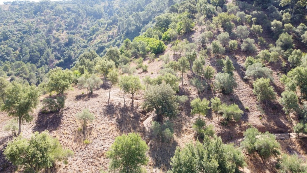 Casa de campo-Masía en Venta en Benastepal Málaga - foto 3