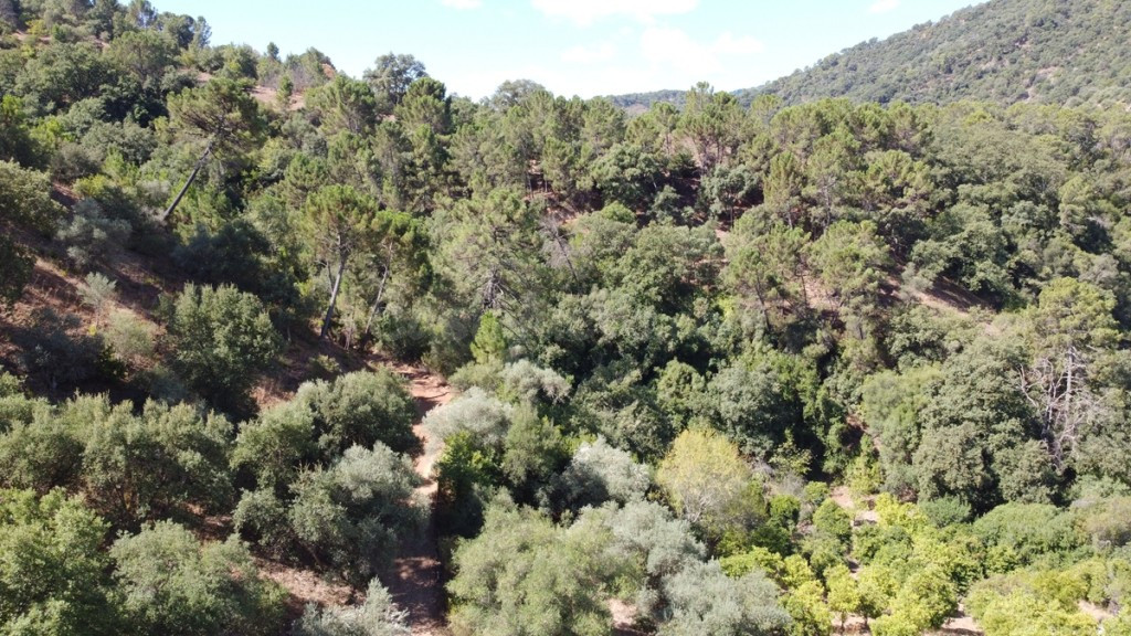 Casa de campo-Masía en Venta en Benastepal Málaga - foto 4