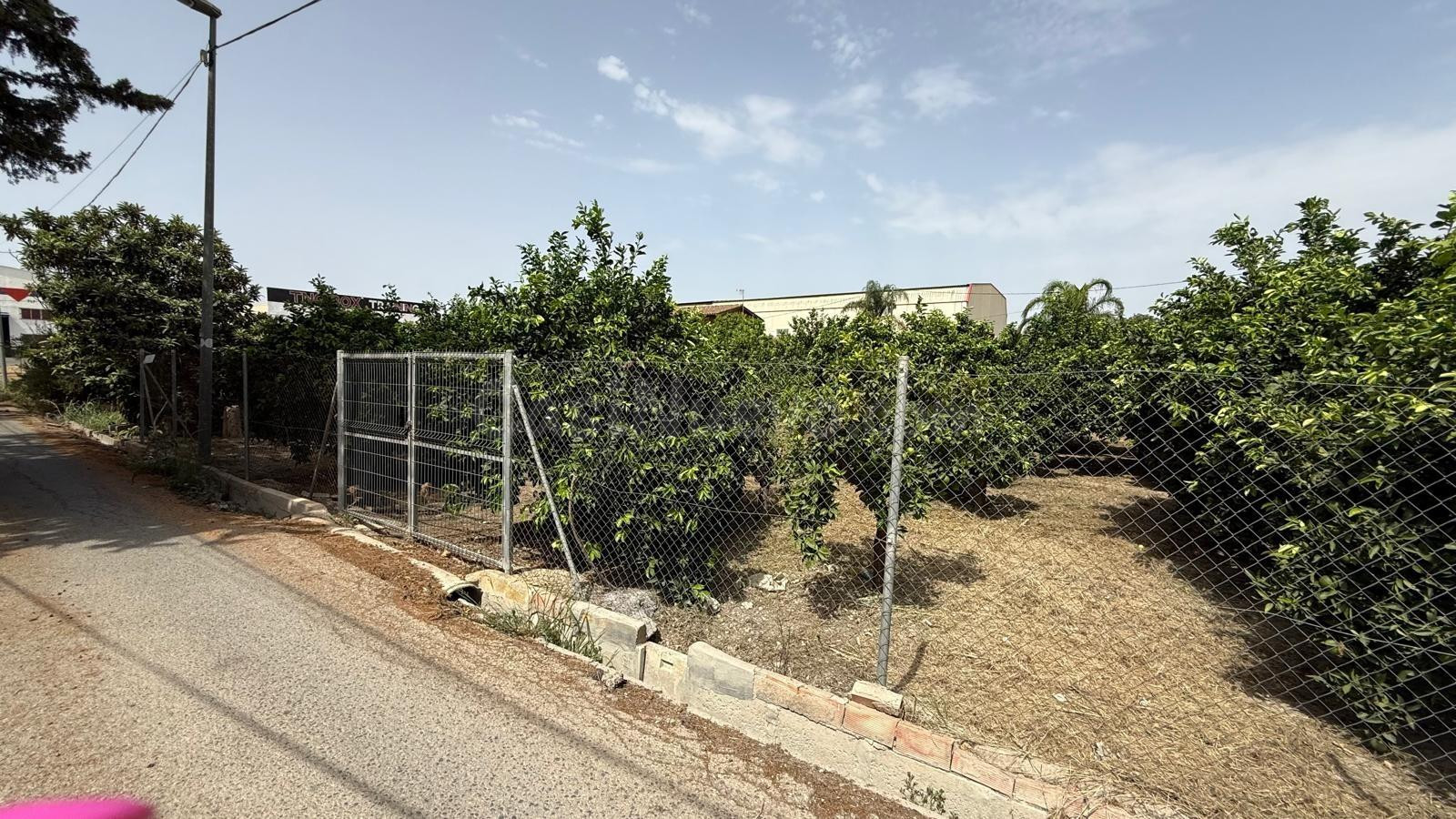 Oportunidad Única: Terreno Rústico en Beniajan, Murcia por s