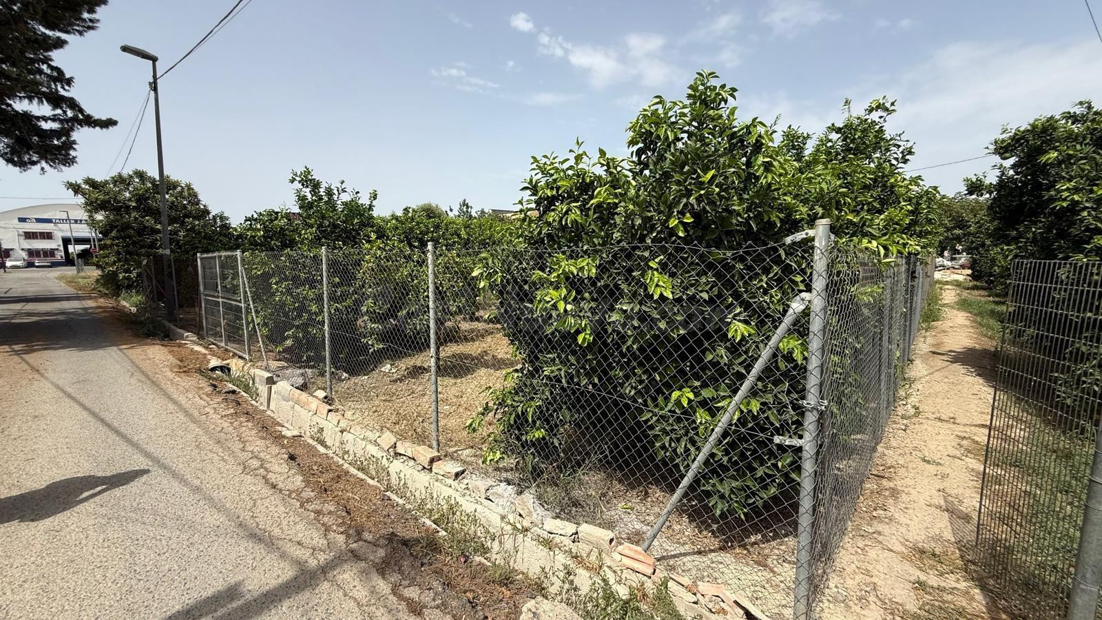 Oportunidad Única: Terreno Rústico en Beniajan, Murcia por s - foto 2