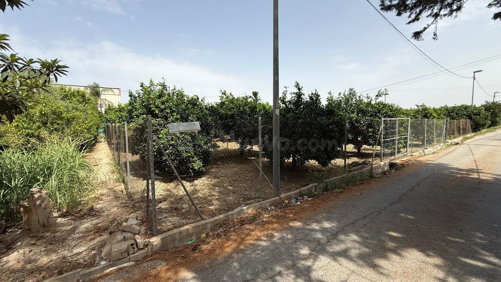 Oportunidad Única: Terreno Rústico en Beniajan, Murcia por s - foto 3