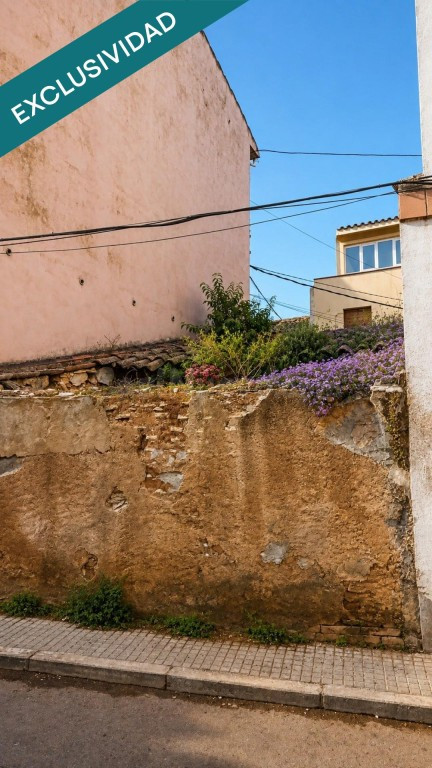 Haz realidad el proyecto de vida que siempre has imaginado e - foto 3