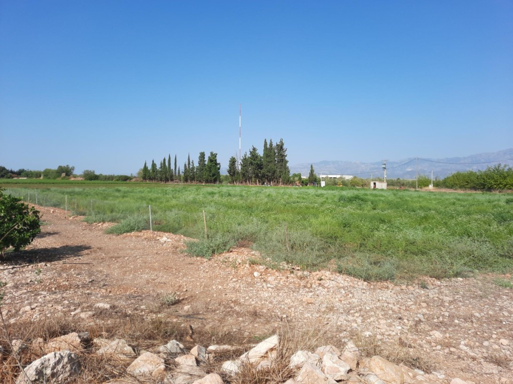 Finca de 1,79 ha en Santa Bàrbara con pozo propio - foto 2