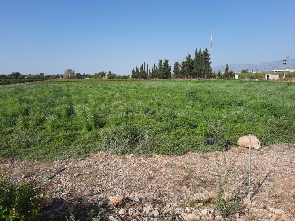 Finca de 1,79 ha en Santa Bàrbara con pozo propio - foto 3