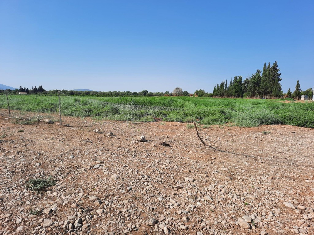 Finca de 1,79 ha en Santa Bàrbara con pozo propio - foto 5
