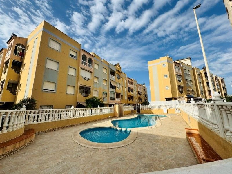 Apartamento 1 habitación 50m² en venta - La Mata pueblo