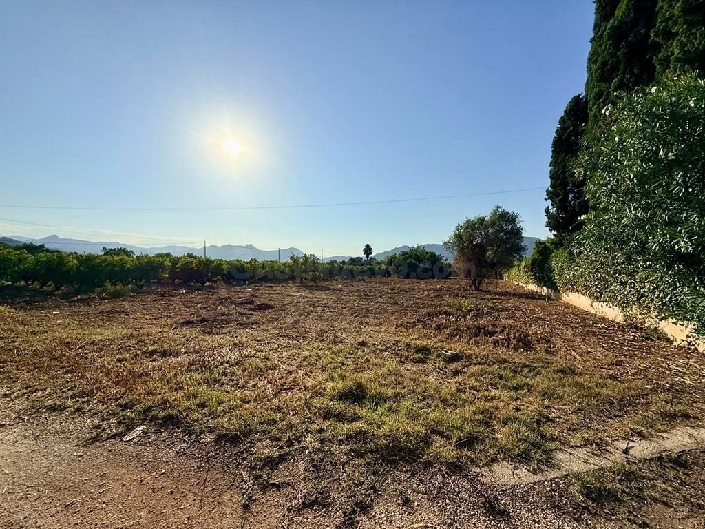 Parcela en Venta en Pedreguer Alicante - foto 2