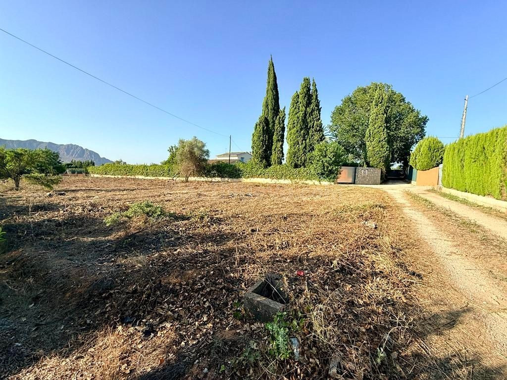 Parcela en Venta en Pedreguer Alicante - foto 3