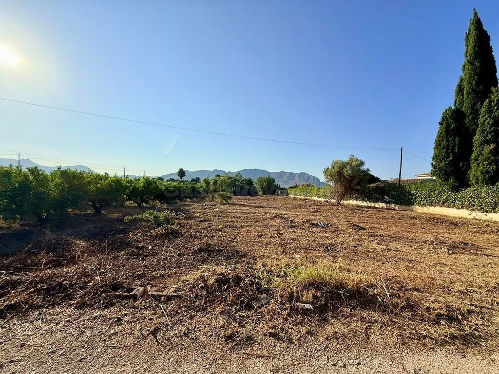 Parcela en Venta en Pedreguer Alicante - foto 4