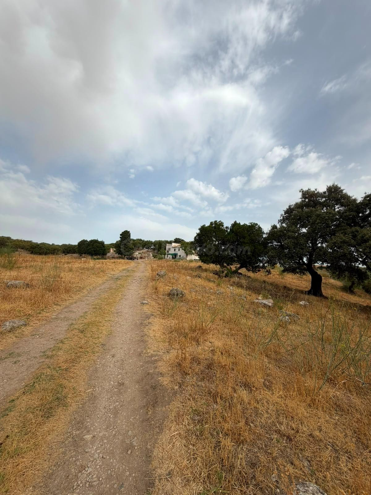 Terreno Rústico de 35 fanegas en FINCA LA SERENA! - foto 5