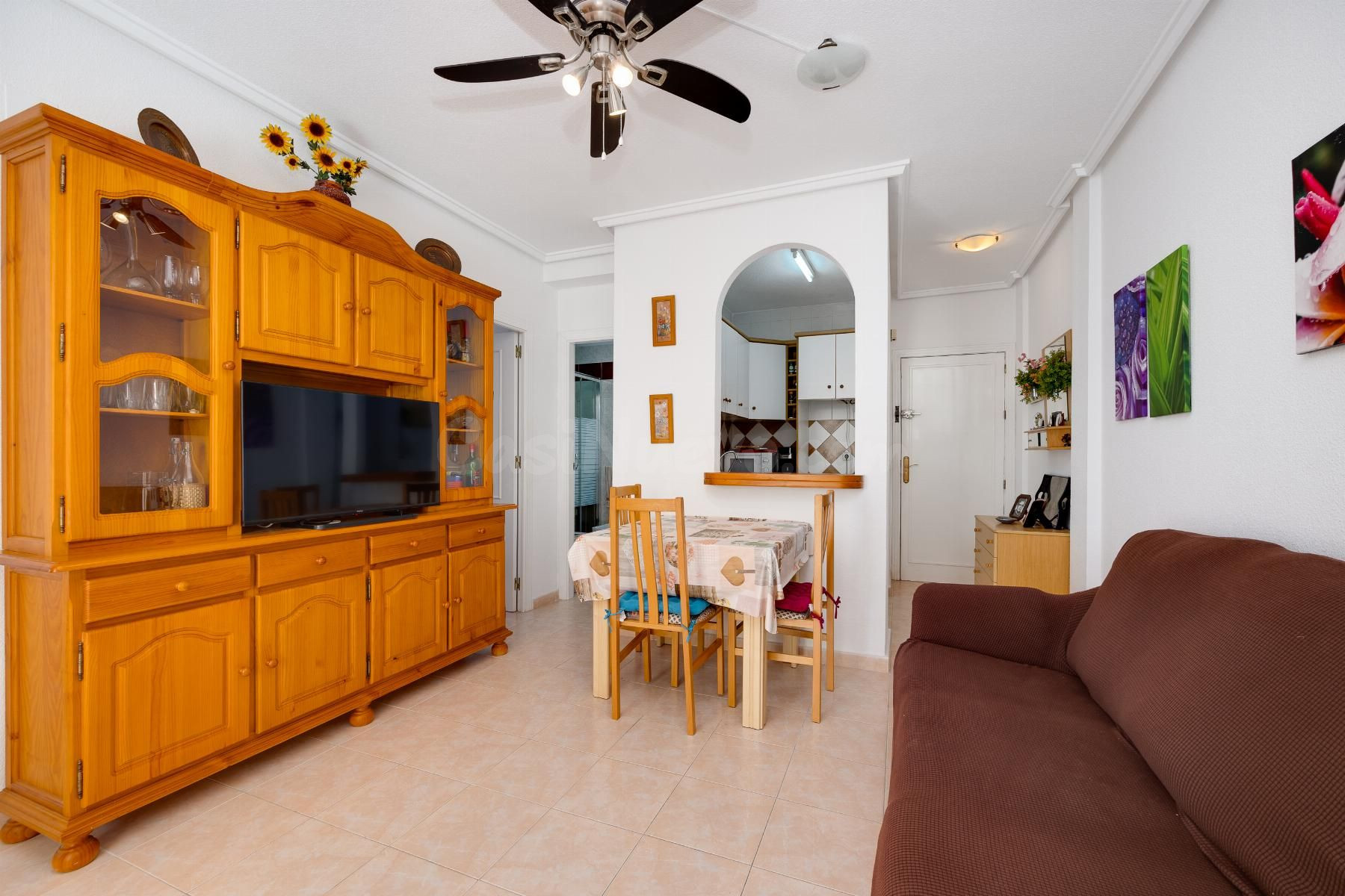 APARTAMENTO DE 2 DORMITORIOS Y 1 BAÑO EN TORREVIEJA (LOS NAU - foto 2