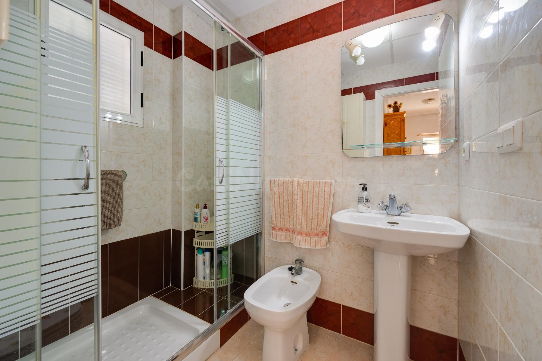 APARTAMENTO DE 2 DORMITORIOS Y 1 BAÑO EN TORREVIEJA (LOS NAU - foto 3