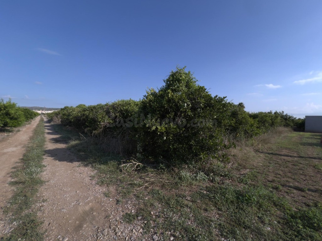 Finca rústica de naranjos en Alcanar - foto 4