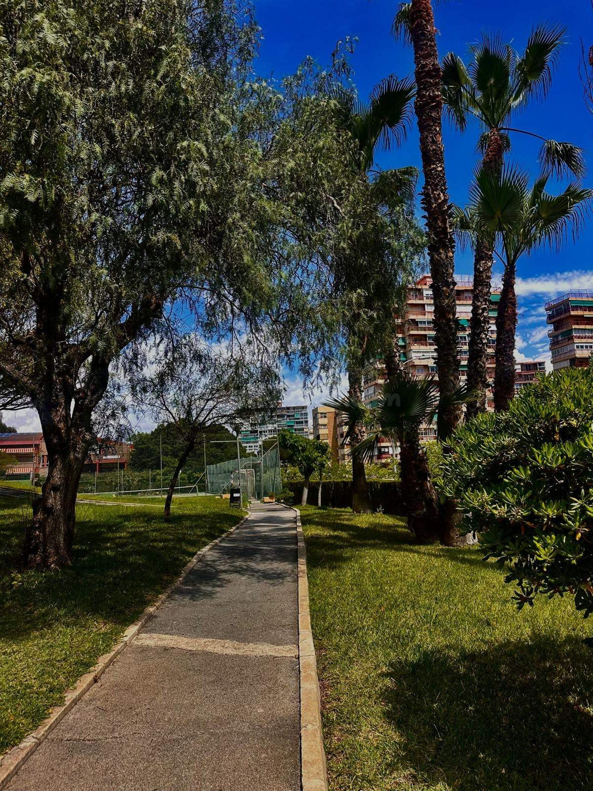 Piso 3 habitaciones 137m² en venta - La Albufereta - foto 4