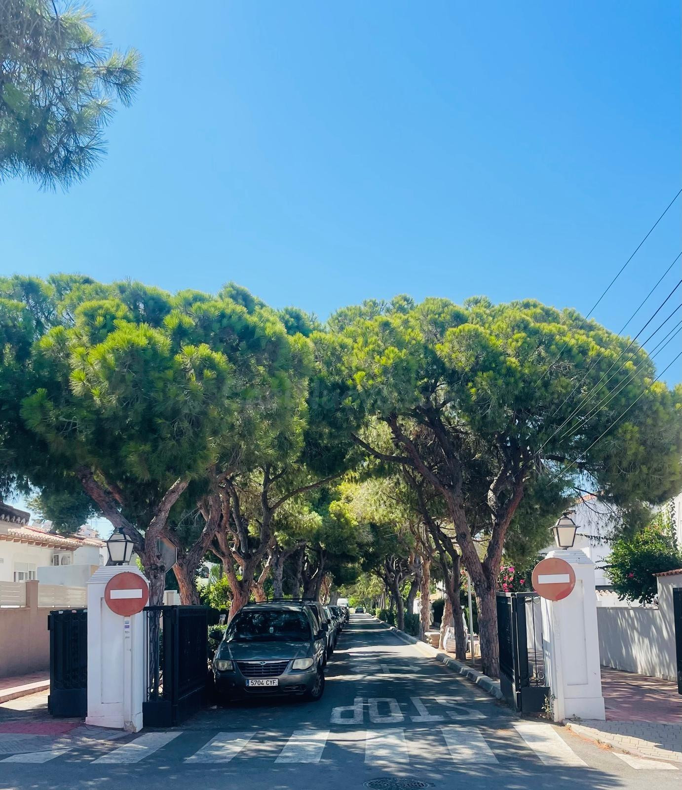 Bungalow esquinero en Lago Jardín, Torrevieja - foto 2
