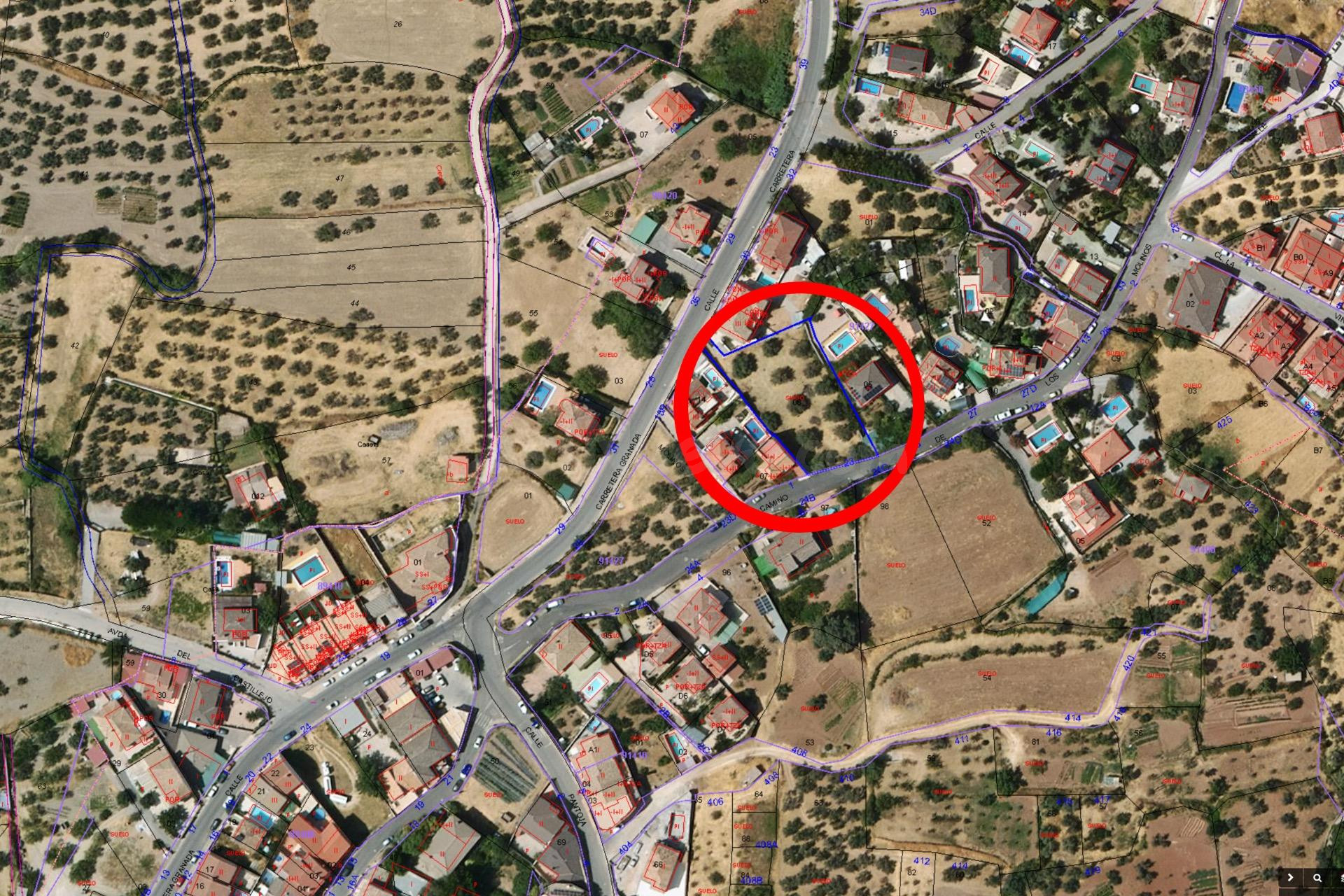 GRAN FINCA URBANA EN NIVAR! - foto 2