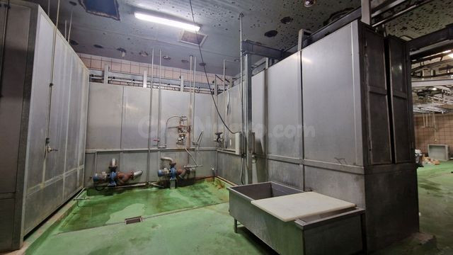 Equipo profesional escaldado por inmersión cerdos acero inoxidable