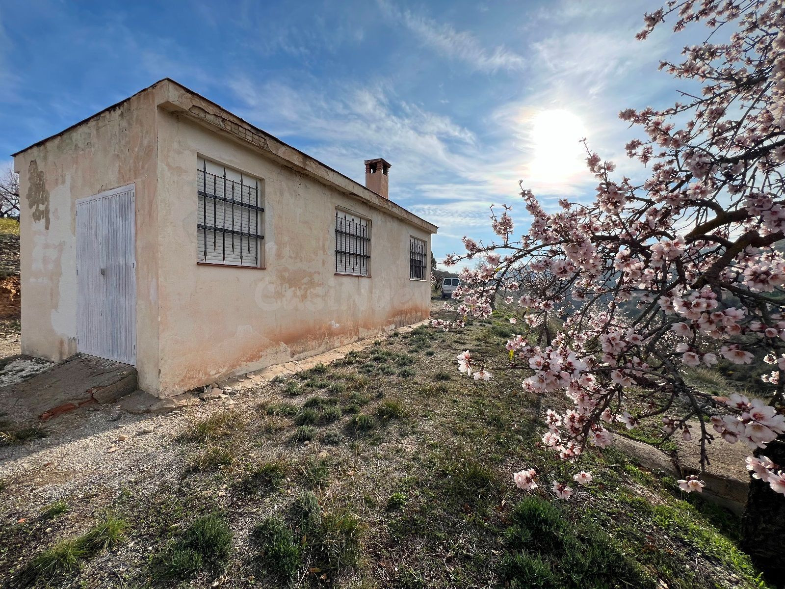 Cortijo