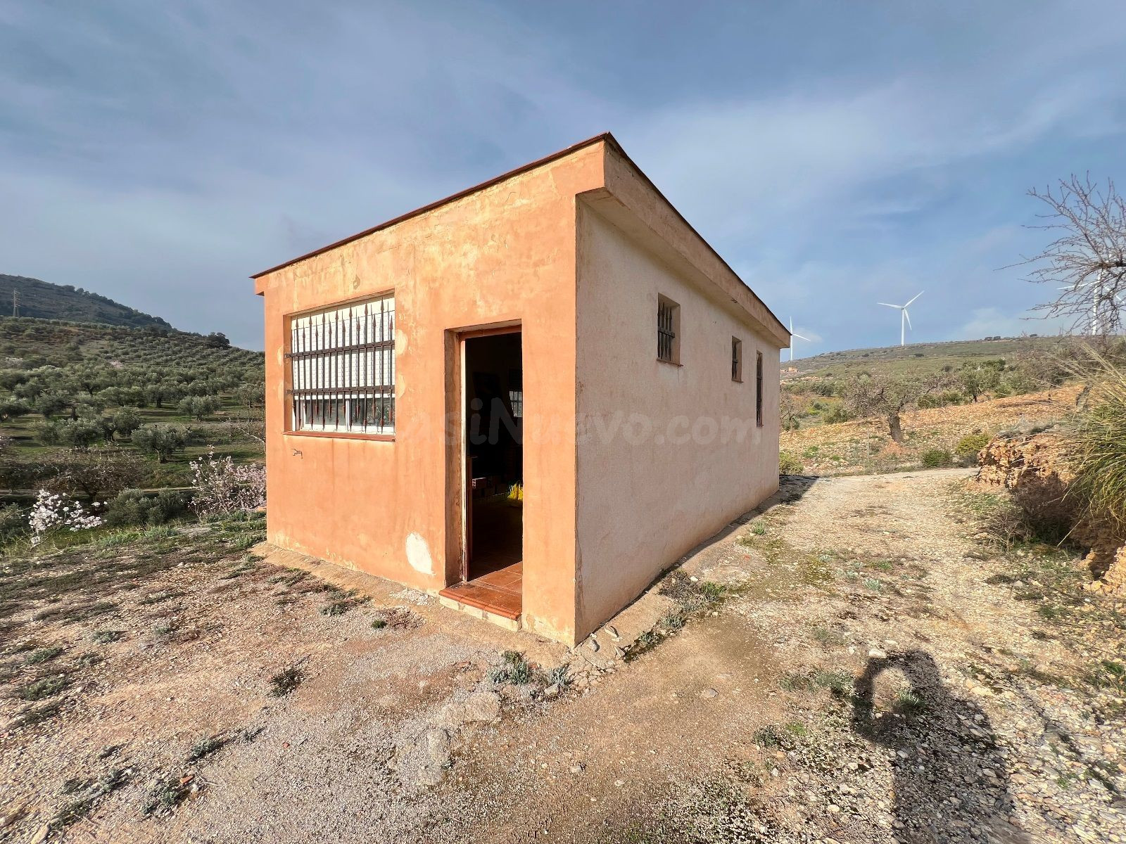 Cortijo - foto 2
