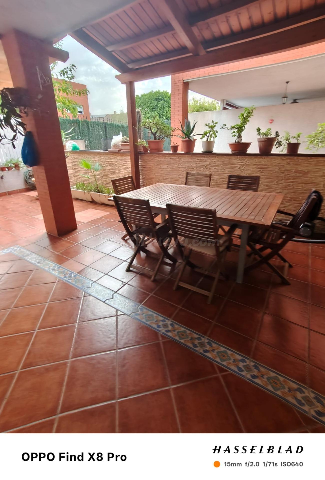 Chalet Estudiantes en La Ñora - ¡Solo Chicas! - foto 4
