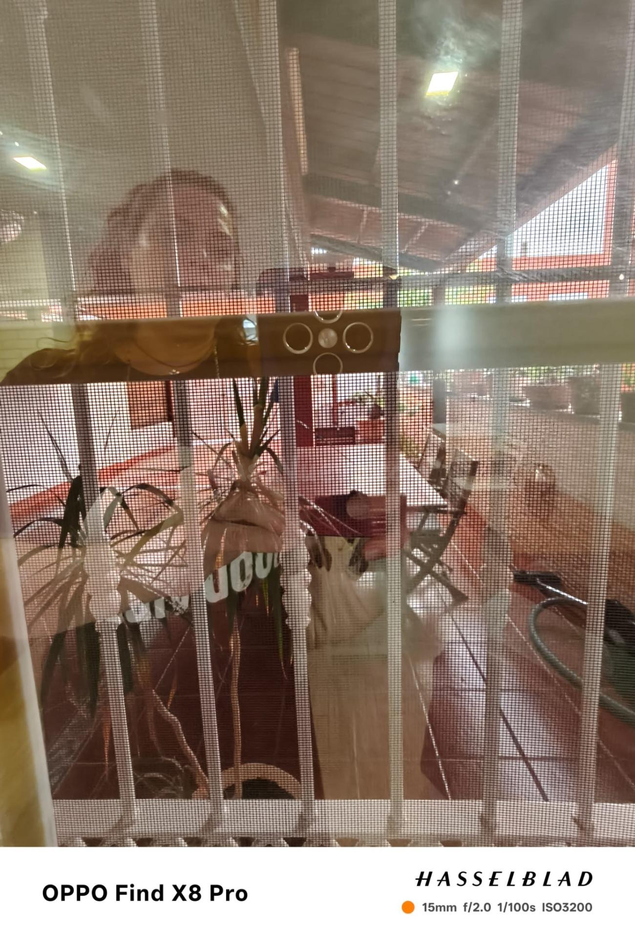 Chalet Estudiantes en La Ñora - ¡Solo Chicas! - foto 5