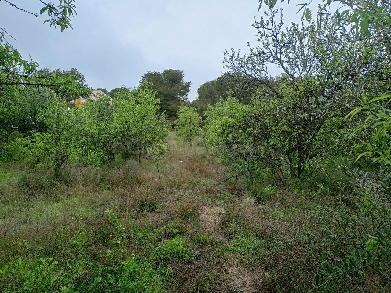 Terreno urbano 255m² en venta - Urbanizacion el pinar 4