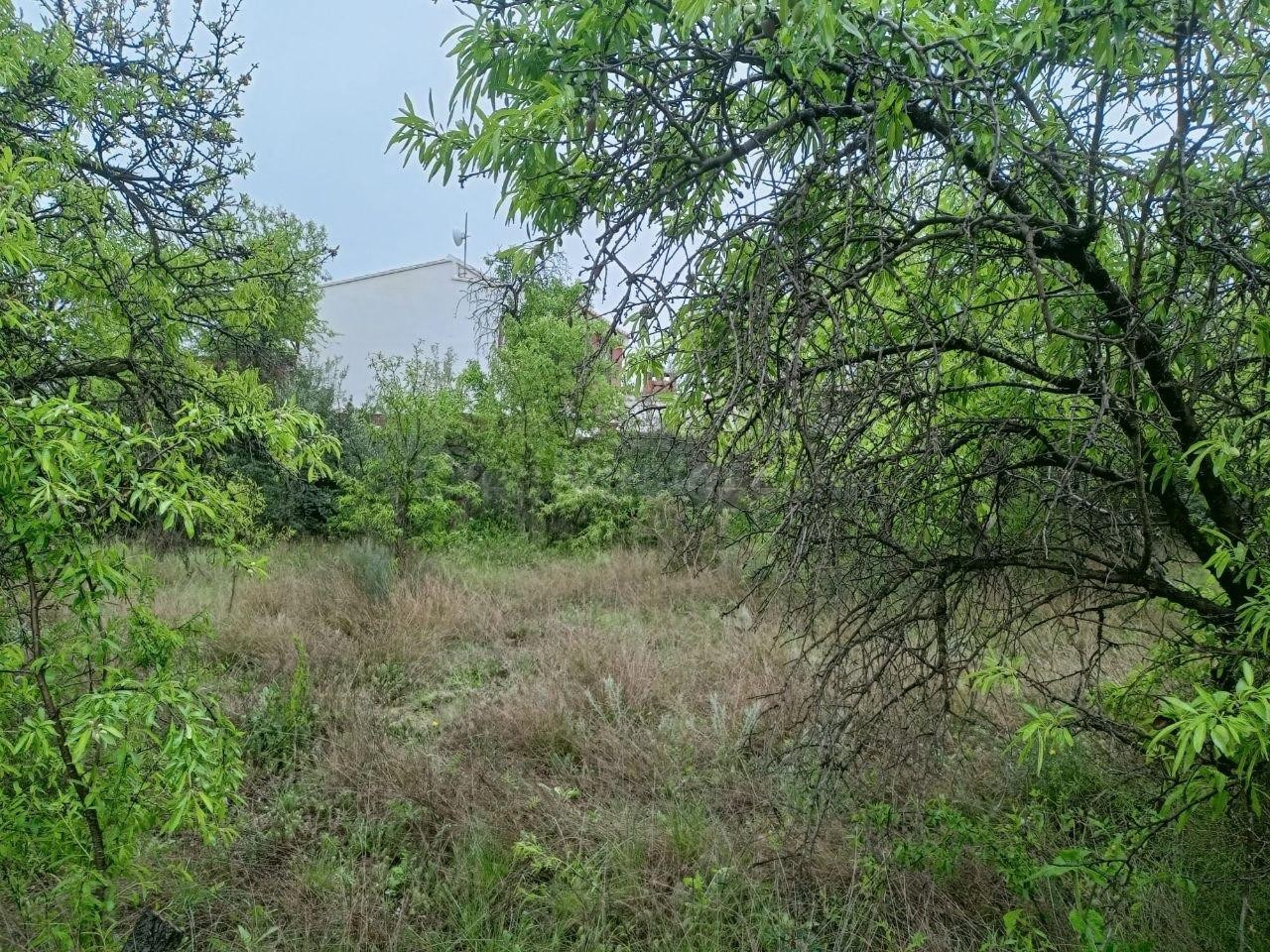 Terreno urbano 255m² en venta - Urbanizacion el pinar 4 - foto 4