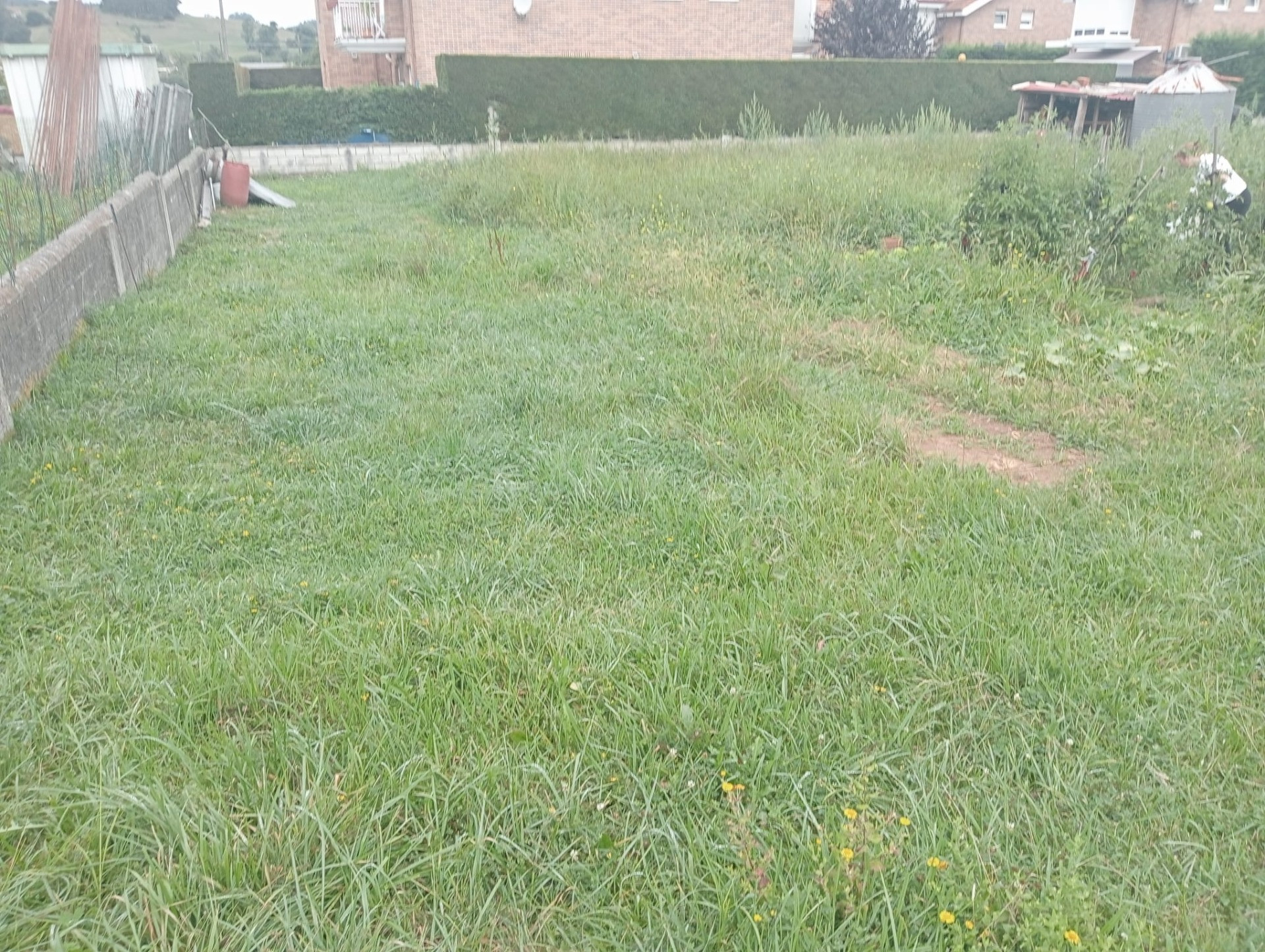 TERRENO EDIFICABLE - foto 3