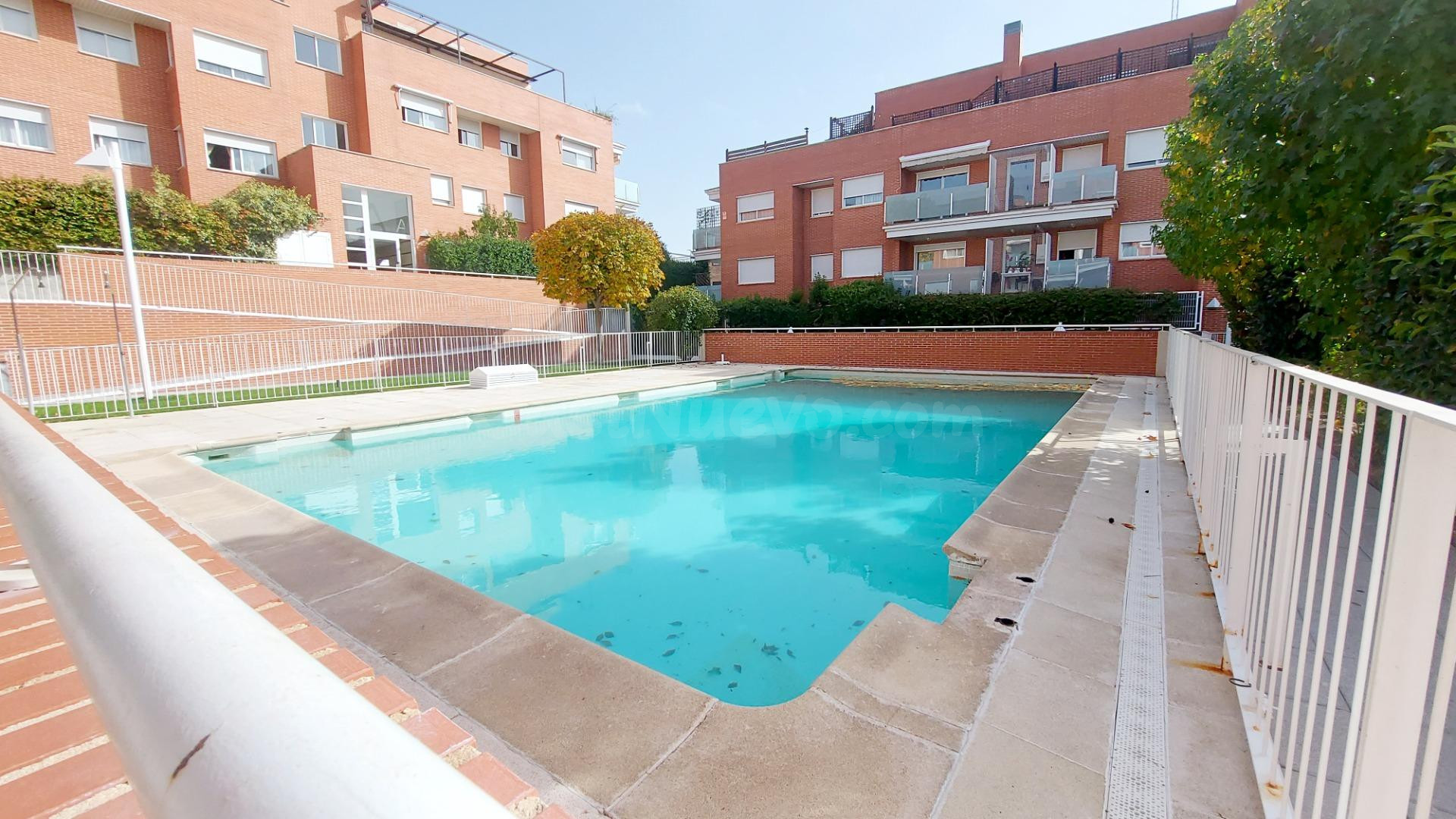LUMINOSO PISO EN EL CANTIZAL, LAS ROZAS DE MADRID - foto 5