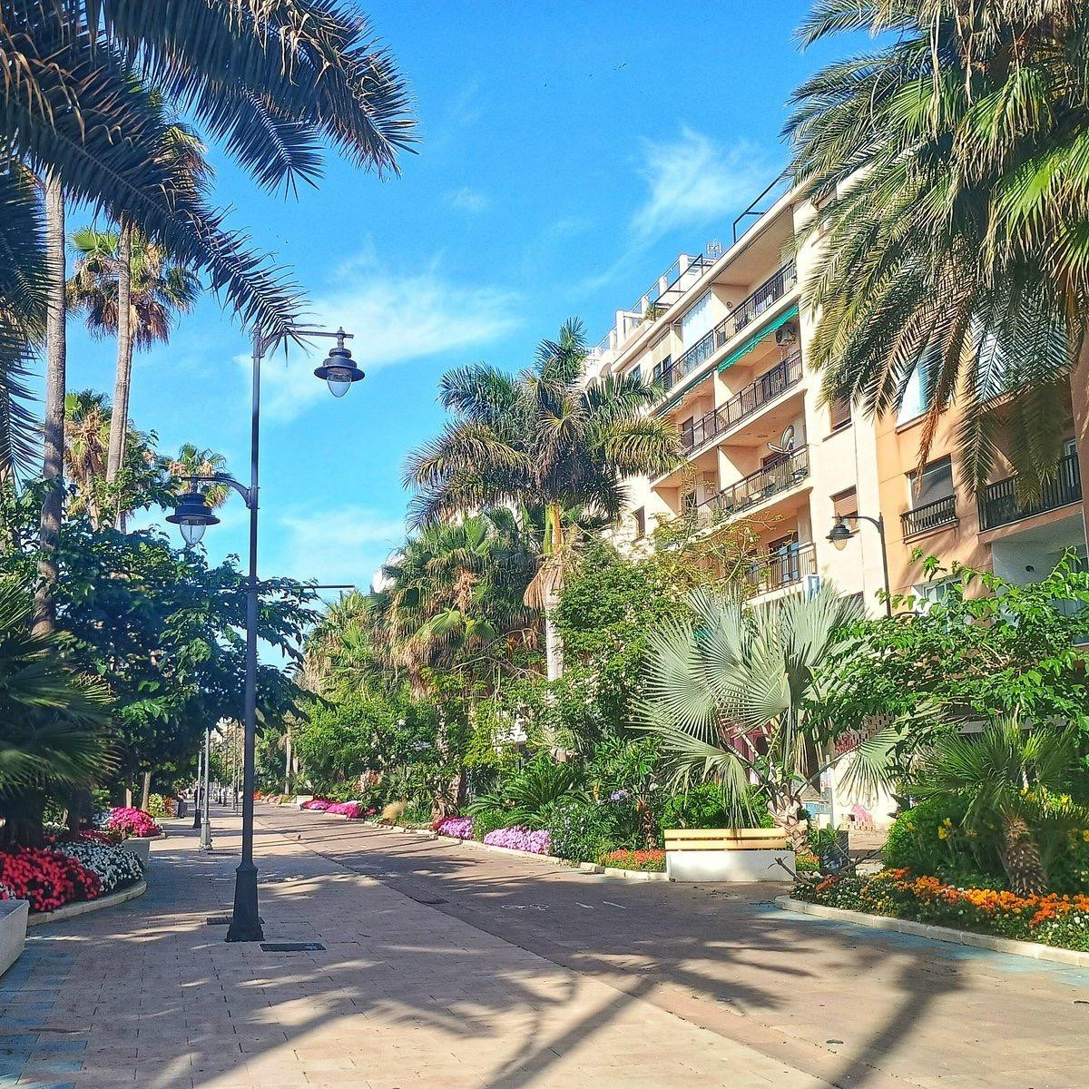 PASEO MARITIMO - foto 3