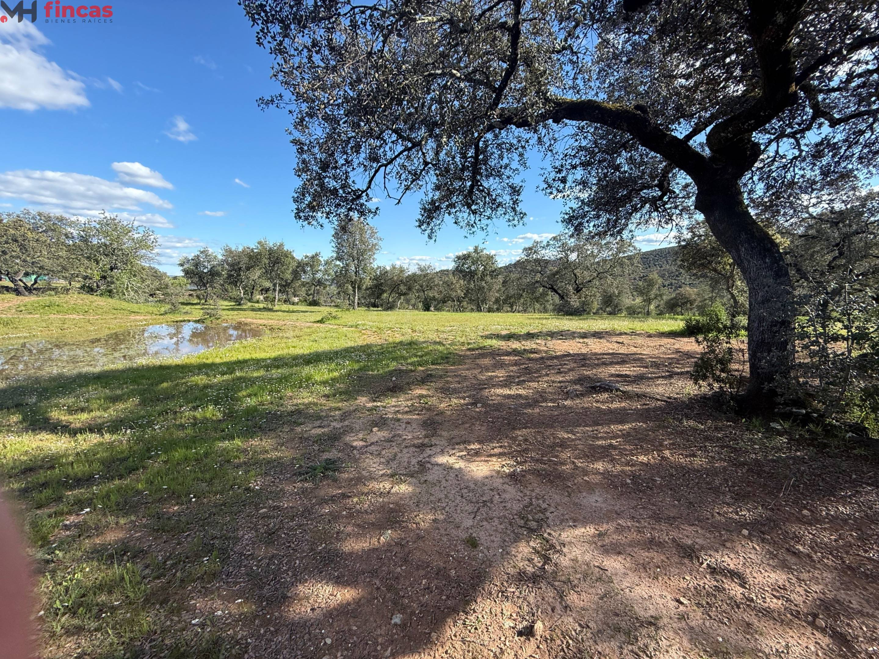 Finca Rústica con Agua Propia en Almonaster la Real – Huelva