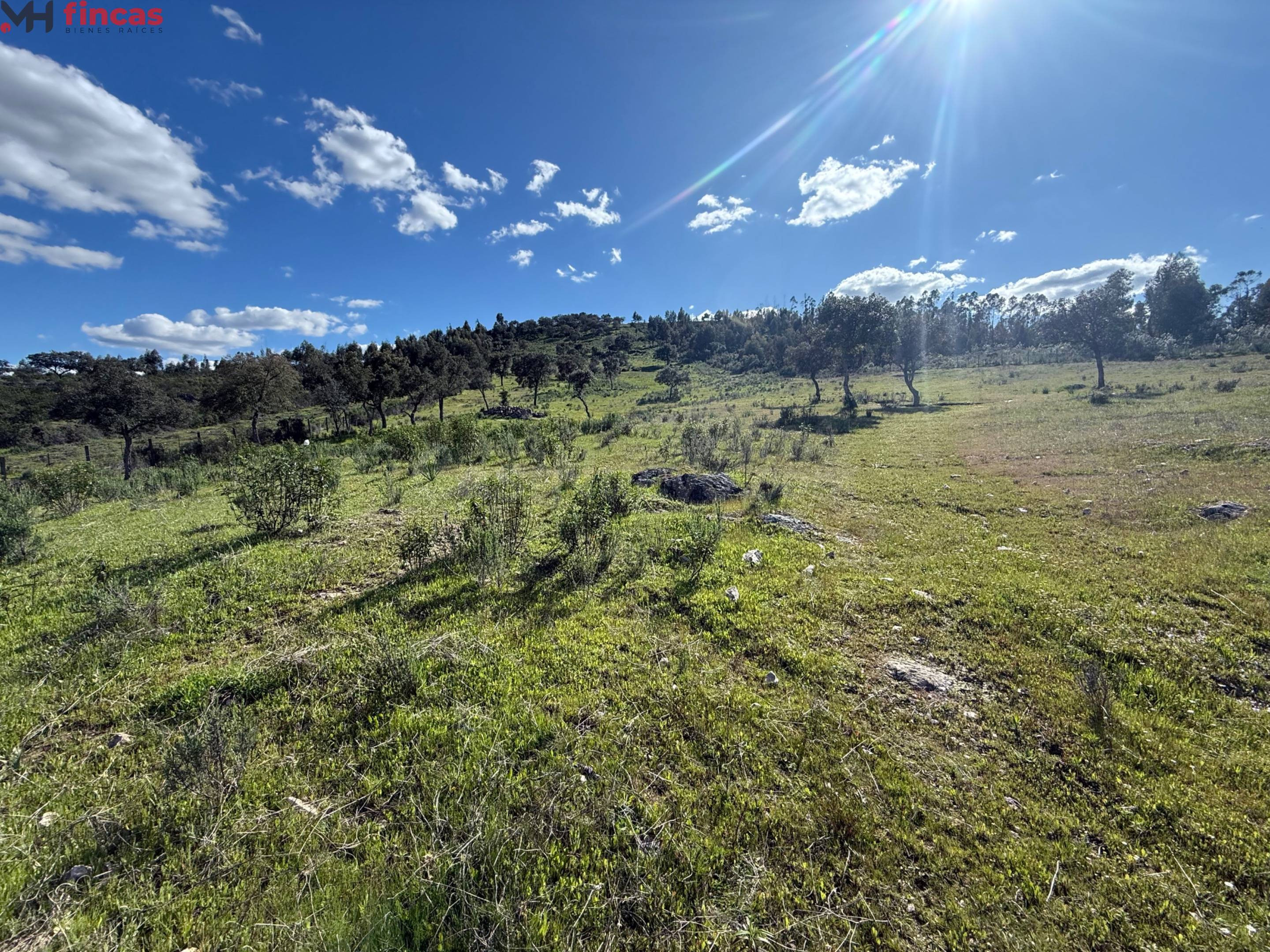 Finca Rústica con Agua Propia en Almonaster la Real – Huelva - foto 2